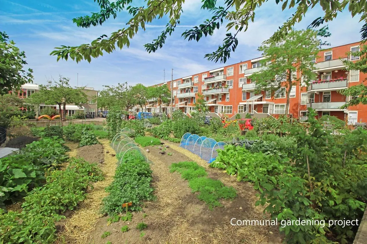 New Monumental Garden View Studio Amsterdam Bed & Breakfast